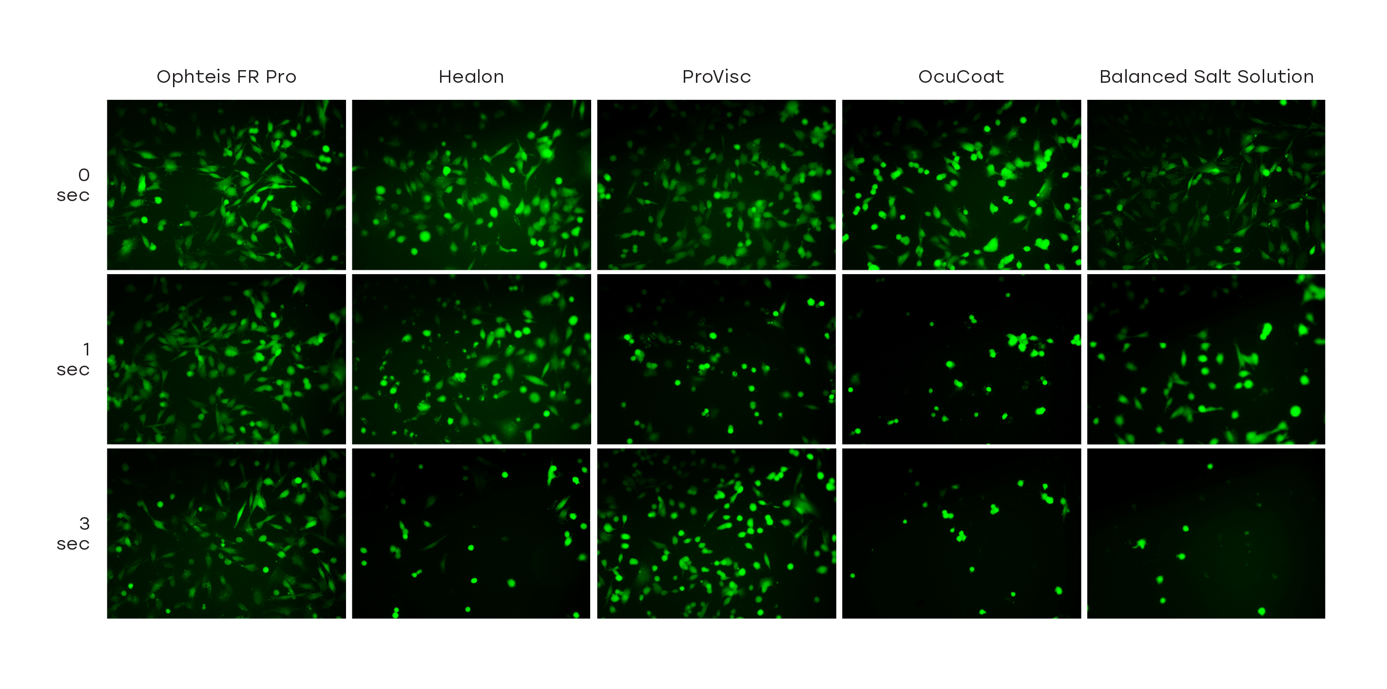 Figure 2 microscopy comparison of cellular morphology and viability after ultrasound exposure